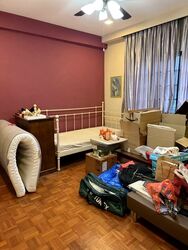 Leith Park (D19), Terrace #557822091
